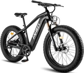 Электровелосипед Fafrees F26 CarbonM, 26", черный, 1000 Вт, 22,5 Ач цена и информация | Электровелосипеды | kaup24.ee
