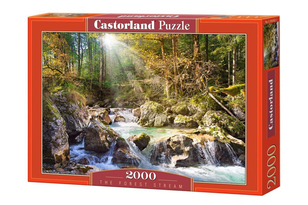 Pusle Castorland The forest stream, 2000 tk hind ja info | Pusled | kaup24.ee