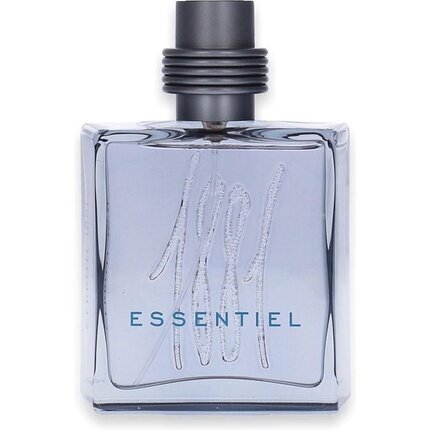 Tualettvesi Cerruti 1881 Essentiel EDT meestele 100 ml цена и информация | Meeste parfüümid | kaup24.ee