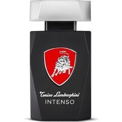 Lamborghini Intenso EDT для мужчин 125 мл цена и информация | Мужские духи | kaup24.ee