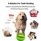 Kummist koeramänguasi, roheline, 7cm hind ja info | Mänguasjad koertele | kaup24.ee
