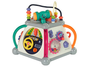 Multifunktsionaalne kuubik väikelapsele hind ja info | Imikute mänguasjad | kaup24.ee