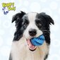 Kummist koeramänguasi, sinine, 7cm hind ja info | Mänguasjad koertele | kaup24.ee