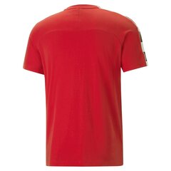 Футболка Puma Evostripe Tee Hig Red цена и информация | Meeste T-särgid | kaup24.ee