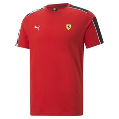 Футболка Puma Evostripe Tee Hig Red цена и информация | Meeste T-särgid | kaup24.ee