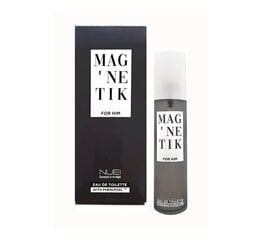 Туалетная вода с феромонами Magnetik For Him, 50 мл цена и информация | Феромоны | kaup24.ee