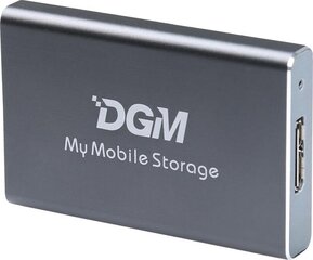 DGM My Mobile Storage MMS128SG цена и информация | Жёсткие диски (SSD, HDD) | kaup24.ee