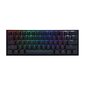 Ducky One 2 Mini MX-Blue RGB-LED DKON2061ST-CDEPDAZT1 hind ja info | Klaviatuurid | kaup24.ee