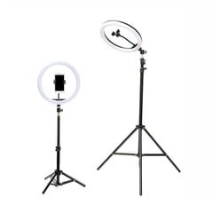 LED -rõngalampiga 2,1 m koos filmide, meigi salvestamiseks hind ja info | Fotovalgustuse seadmed | kaup24.ee