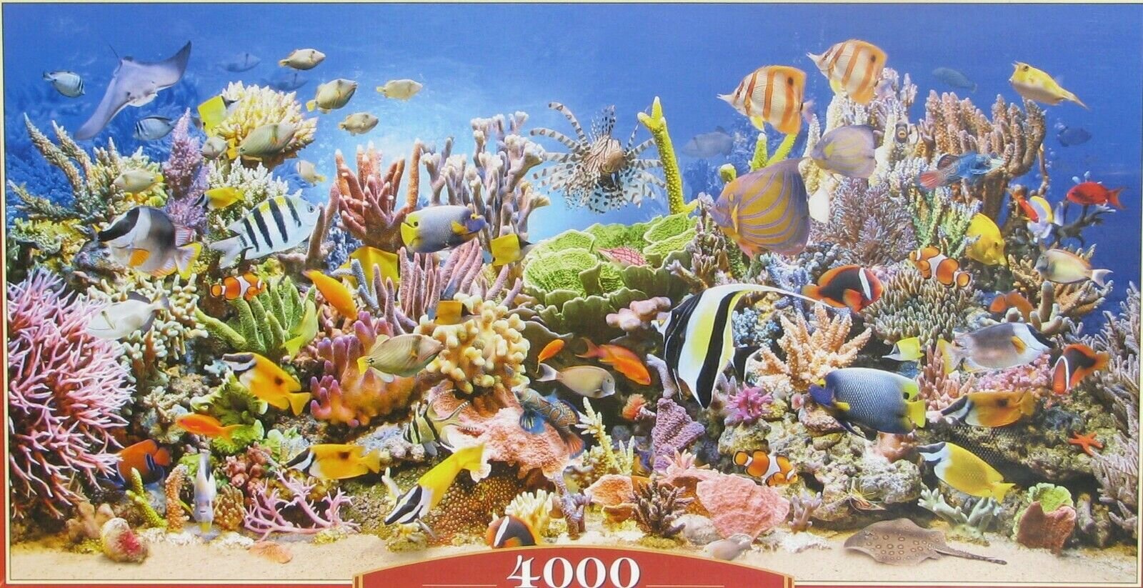 Pusle Castorland Puzzle Underwater Life, 4000-osaline цена и информация | Pusled | kaup24.ee