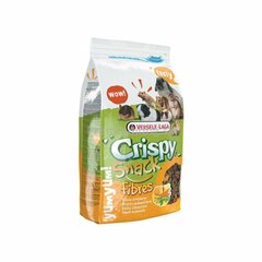 Maius närilistele Versele-Laga Crispy Snack Fibres, 15 kg hind ja info | Versele Laga Lemmikloomatarbed | kaup24.ee