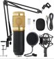 Forev 29839 цена и информация | Mikrofonid | kaup24.ee