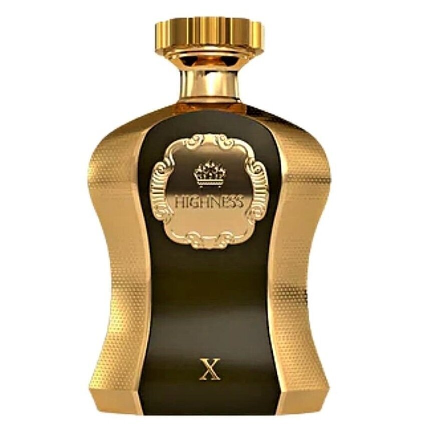 Parfüümvesi Afnan Highness X EDP meestele, 100 ml hind ja info | Meeste parfüümid | kaup24.ee