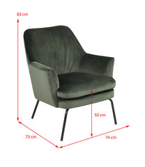 Кресло Actona Chisa Vic, розовое/черное цена и информация | Кресла в гостиную | kaup24.ee