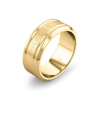 Tommy Hilfiger Цельное стальное кольцо 2790505 цена и информация | Кольцо | kaup24.ee