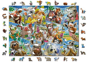 Puidust pusle kujudega Wooden city Postkaardid loomadega, 1010 tk hind ja info | Pusled | kaup24.ee