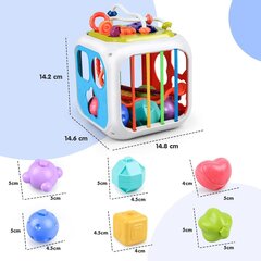 Arendav mänguasi lastele Kizmyee Montessori hind ja info | Arendavad mänguasjad | kaup24.ee
