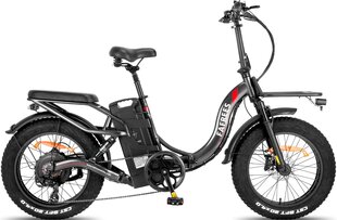 Электровелосипед Fafrees F20 X-Max, 20", серый, 750 Вт, 30 Ач Samsung цена и информация | Электровелосипеды | kaup24.ee