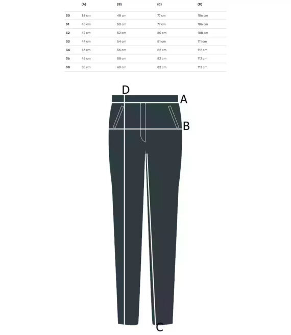 Püksid meestele, roheline hind ja info | Meeste püksid | kaup24.ee