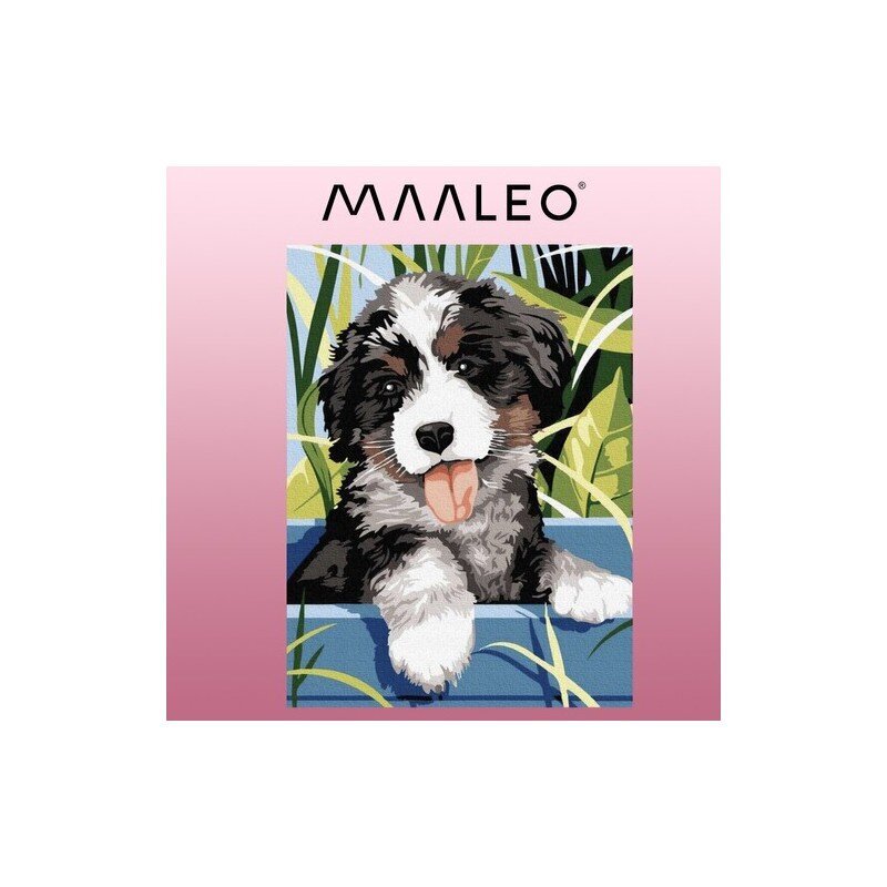 Maalimine numbrite järgi Maaleo koer 22780, 40x30cm hind ja info | Seinapildid | kaup24.ee