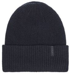 Детская шапка Hesston Icepeak, черный цена и информация | Шапки, перчатки, шарфы для мальчиков | kaup24.ee