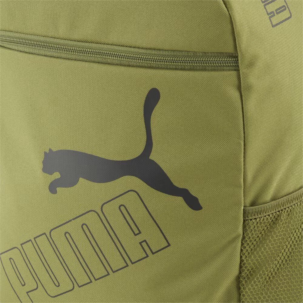 Vaba aja seljakott Puma Phase II 21 l, roheline цена и информация | Spordikotid, seljakotid | kaup24.ee