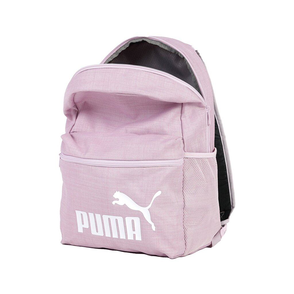 Vaba aja seljakott Puma Phase 22 l, roosa hind ja info | Spordikotid, seljakotid | kaup24.ee