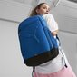 Puma seljakott BUZZ (26L), sinine цена и информация | Naiste käekotid | kaup24.ee