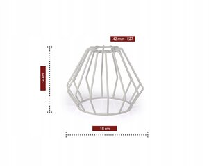 Luxolar подвесной потолочный светильник, белый цена и информация | Люстры | kaup24.ee