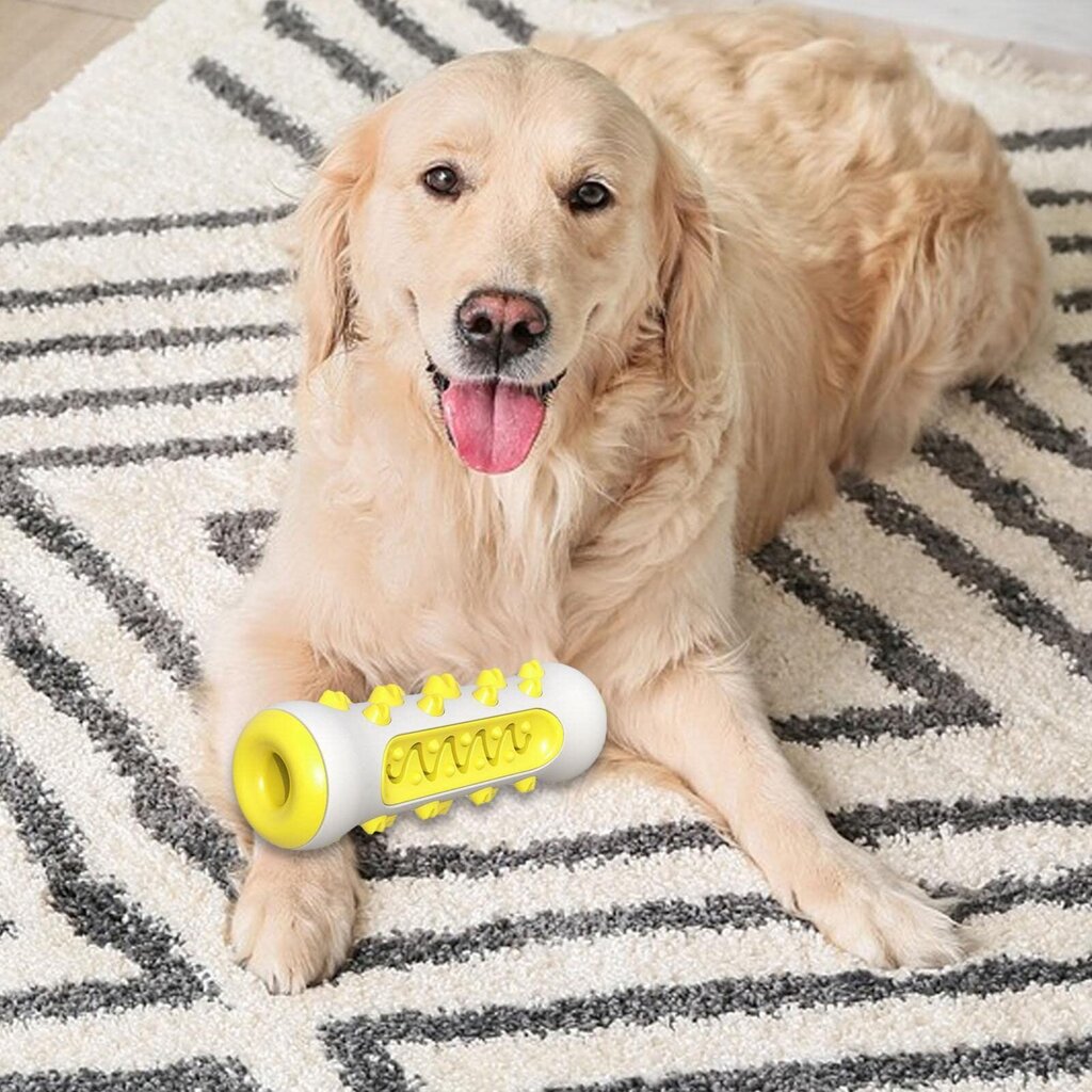 Koera hambahari mänguasi, kollane hind ja info | Mänguasjad koertele | kaup24.ee
