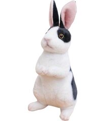 Милая имитация плюшевого кролика, 24 см цена и информация | Мягкие игрушки | kaup24.ee