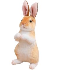 Милый имитированный плюшевый кролик 24,0 см, коричневый цена и информация | Мягкие игрушки | kaup24.ee