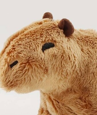 Capybara pluusist mänguasi pruun цена и информация | Pehmed mänguasjad | kaup24.ee