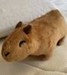 Capybara pluus, 17cm, pruun цена и информация | Pehmed mänguasjad | kaup24.ee