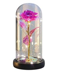 Eternal radiant rose, roosa hind ja info | Muud kingitused | kaup24.ee