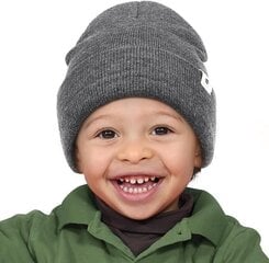 Детская шапка весна-осень на атласной подкладке из Янибе, серая цена и информация | Шапки, перчатки, шарфы для мальчиков | kaup24.ee