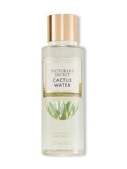 Kehaudu Victoria&#39;s Secret Cactus Water, 250 ml hind ja info | Kehakreemid, kehaspreid | kaup24.ee