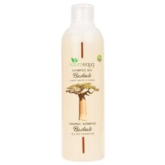 Baobab ehk ahvileivapuu šampoon kuivadele ja keemiliselt töödeldud juustele Naturaequa, 250 ml hind ja info | Šampoonid | kaup24.ee