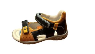 D.D.Step сандали для мальчиков, тёмно-синие/коричневые цена и информация | Детские сандалии | kaup24.ee