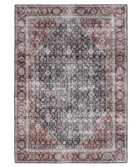 Vercai Rugs vaip Toucan Rug 200x290 cm hind ja info | Vaibad | kaup24.ee