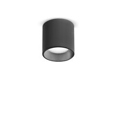 Потолочный светильник DOT PL 3000K NERO цена и информация | Потолочные светильники | kaup24.ee