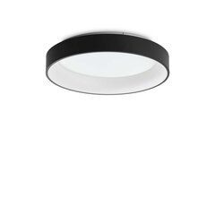 Потолочный светильник Ziggy Pl D60 Nero цена и информация | Потолочные светильники | kaup24.ee