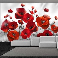 Fototapeet - Poppies in the Moonlight hind ja info | Fototapeedid | kaup24.ee