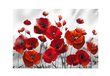 Fototapeet - Poppies in the Moonlight hind ja info | Fototapeedid | kaup24.ee