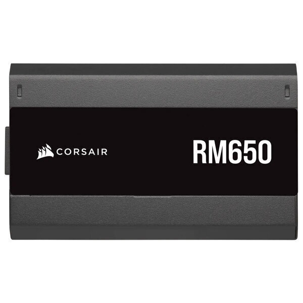 Corsair RM650 CP-9020280-EU hind ja info | Toiteplokid (PSU) | kaup24.ee