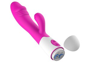 G-punkt ja kliitori masseerija Erolab Dodger, roosa, ZYCD01r hind ja info | Vibraatorid | kaup24.ee