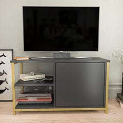 TV alus, Asir, 89,6x35,3x50,8 cm, kuldne/hall цена и информация | Тумбы под телевизор | kaup24.ee