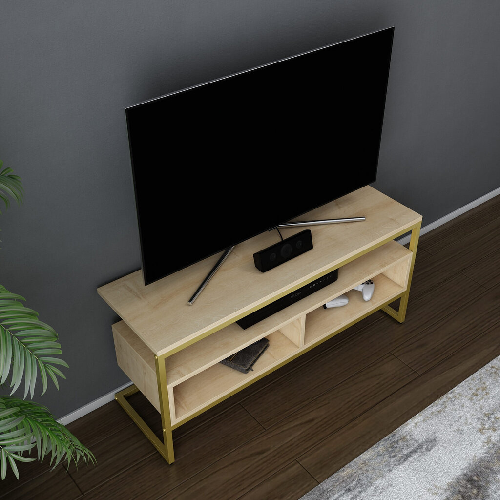 TV alus Asir, 110x35x49,9 cm, kuldne/beež цена и информация | TV alused | kaup24.ee