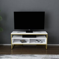 TV alus Asir, 110x35x49,9 cm, kuldne/valge hind ja info | TV alused | kaup24.ee