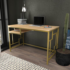 Laud Asir, 120x60x74,8 cm, kuldne/pruun hind ja info | Arvutilauad, kirjutuslauad | kaup24.ee